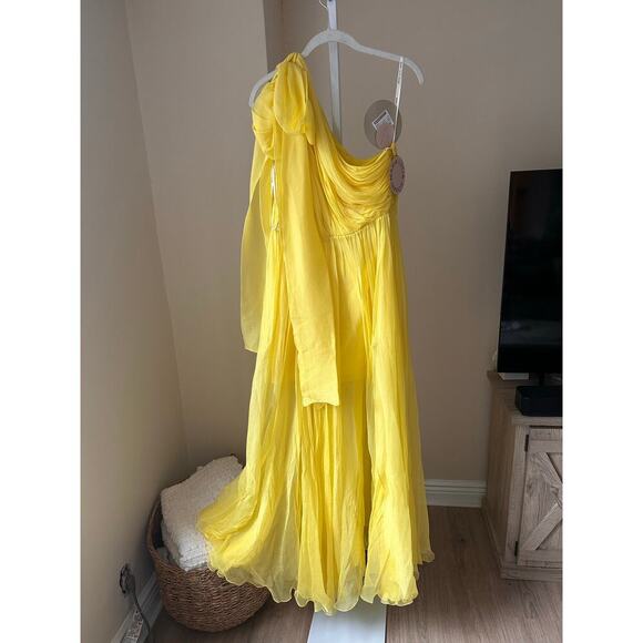NEW NWT Maria Lucia Hohan Silk Crepon Gown Yellow size 10 - Picture 5 of 12